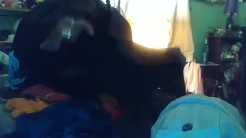 indigo_scorpio online show from 10.13.25