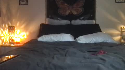 Indigo Bay online show from 02.16.25