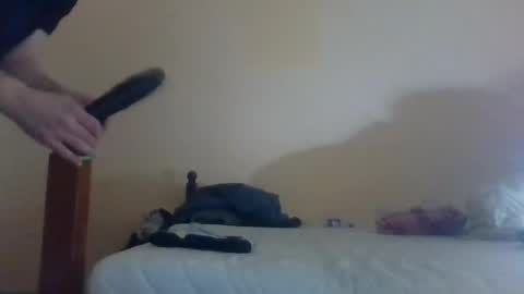 iNEEDmoney2023 online show from 12.08.24