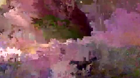 inhertube15 online show from 12.28.24