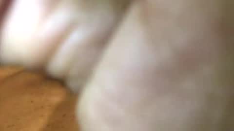 InternationalGodFather online show from 01.27.25