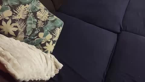 Marek online show from 12.23.24