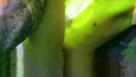 Marek online show from 03.02.25