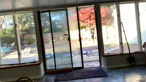 Snapshot of intothewoodswego chatting on 11.13.25 IntoTheWoodsWeGo online show from 11.13.25