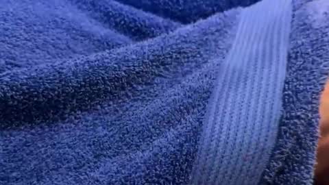 Snapshot of intressiert chatting on 12.30.24 intressiert online show from 12.30.24