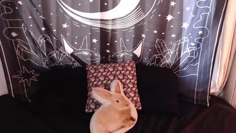    online show from 01.03.25