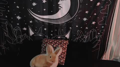    online show from 01.07.25