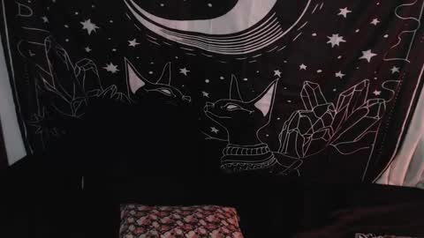    online show from 01.08.25