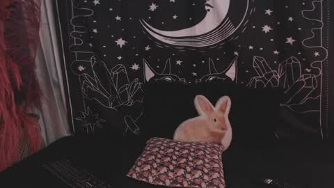    online show from 01.29.25