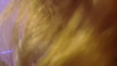 Isabella Rros online show from 11.06.25