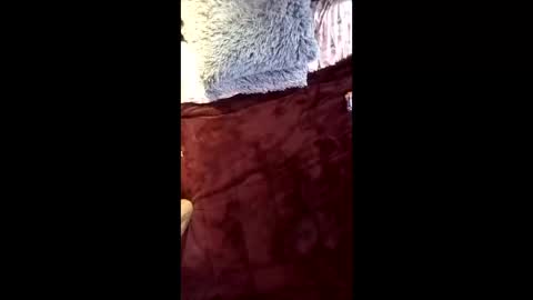 Ral online show from 04.16.26