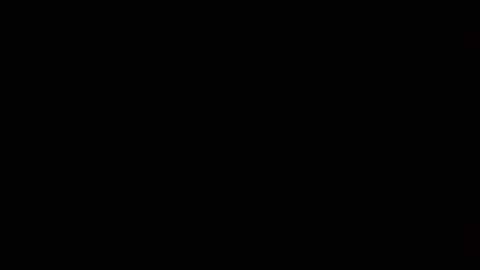 isanin online show from 10.01.25