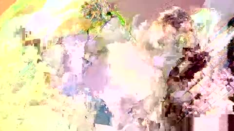 Nathaniel online show from 05.13.26