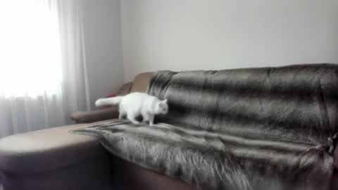 Snapshot of issabelle_69 chatting on 02.09.25 Issabelle online show from 02.09.25