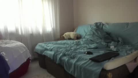 Snapshot of issabelle_69 chatting on 10.20.25 Issabelle online show from 10.20.25