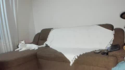 Snapshot of issabelle_69 chatting on 11.06.25 Issabelle online show from 11.06.25