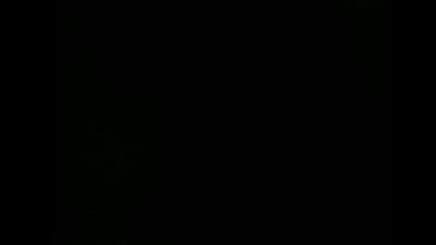 Snapshot of issazorro chatting on 12.18.24 issazorro online show from 12.18.24