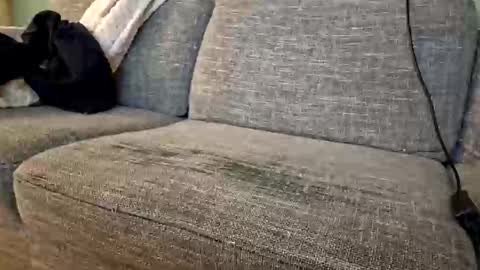 itsjeroen online show from 11.02.25