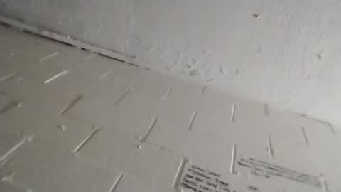 ittybitty0075 online show from 03.11.26