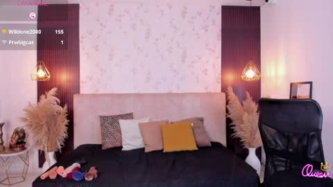 Dylan online show from 04.11.26