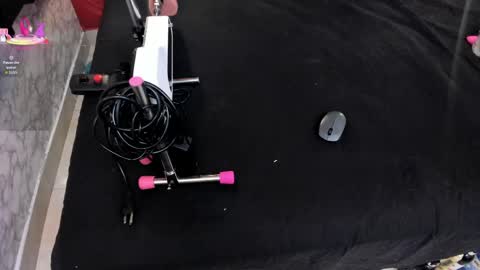 Ivis  online show from 04.13.26