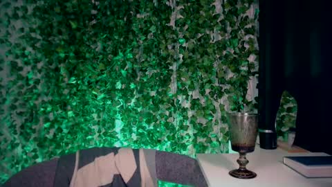 Snapshot of ivyjonson chatting on 12.28.24 Miss Ivy online show from 12.28.24