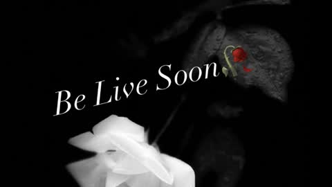 Ivy Rosie online show from 04.02.26