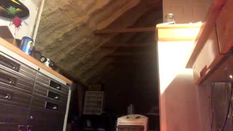 That  Guy  online show from 01.28.25