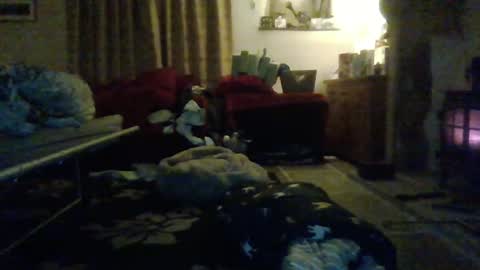 J4ckcock online show from 01.01.25