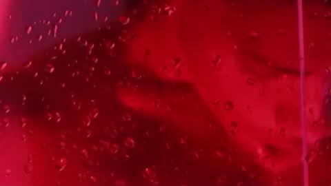 i am juan musiry independent model  online show from 11.22.25