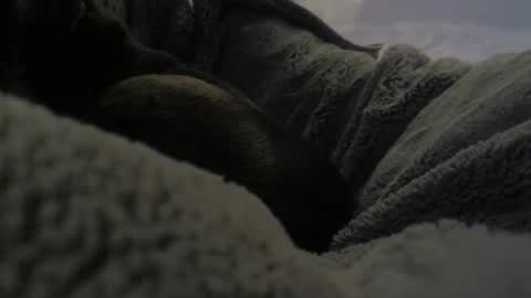 jackad44 online show from 10.17.25