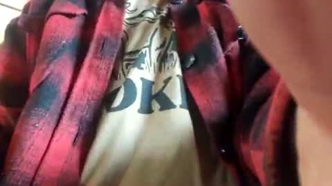 Dess online show from 04.15.26