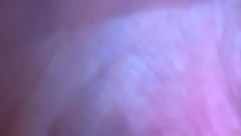 jackjackerman online show from 03.05.26