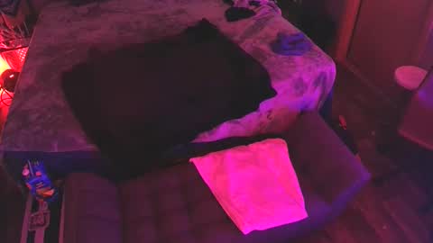 jackmeoff369 online show from 10.15.25