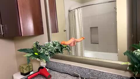 Jack Xavier  Missy online show from 02.12.26