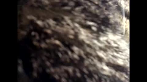 Jacob online show from 03.24.26