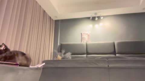 Snapshot of jacolandia chatting on 02.23.25 jacolandia online show from 02.23.25