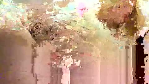 jadedmoshier online show from 11.28.25