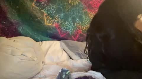Jadexbabe online show from 01.27.25