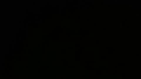 Jamie Rose Queenschild ever... online show from 02.08.25