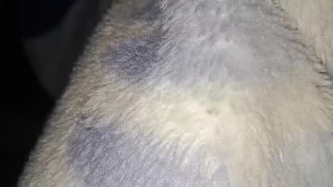 jake_strokes251 online show from 10.05.25