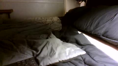 Jamacian online show from 09.30.25