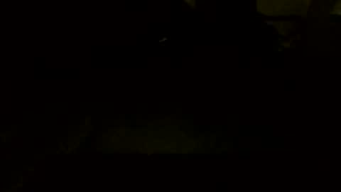 Jamacian online show from 10.07.25