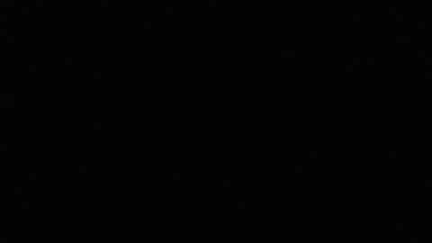 Jamaica online show from 11.05.25