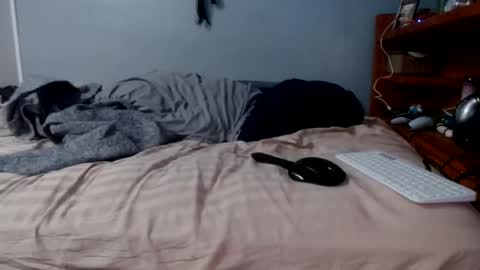 what you in too online show from 02.16.26