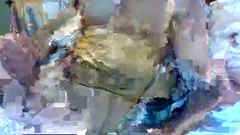 jameswhite5001 online show from 02.08.25