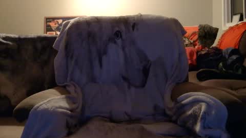 jameswolf777 online show from 12.16.25