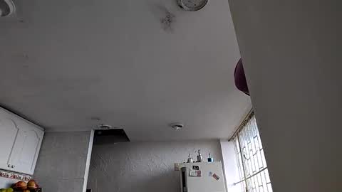 janariivera1 online show from 01.06.26