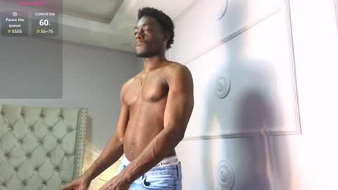 Janstallions online show from 01.08.25