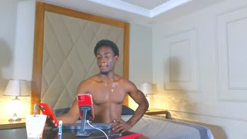 Janstallions online show from 02.07.25